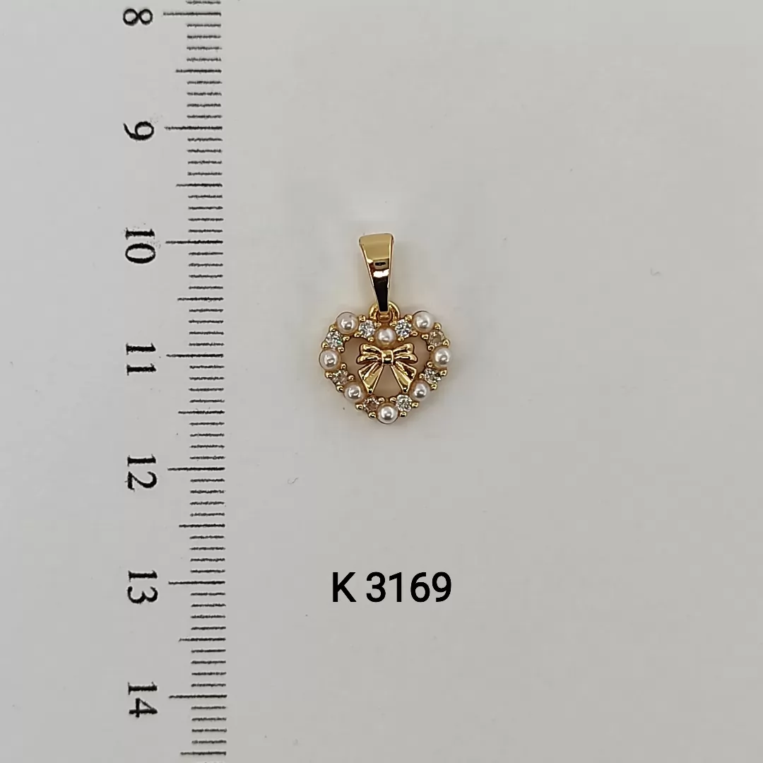 K 3169